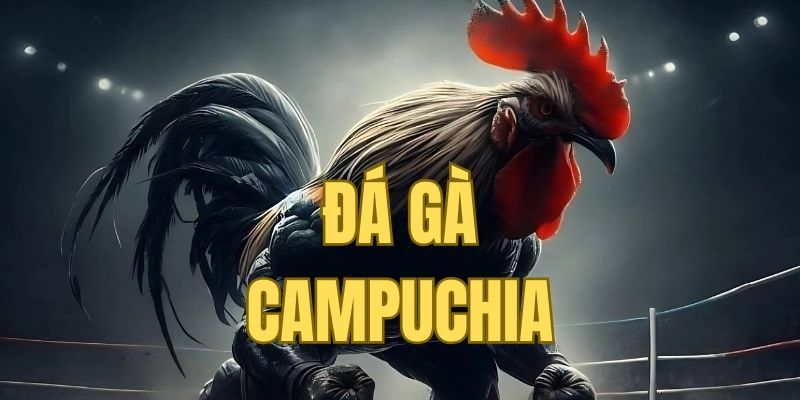 đá gà campuchia gk88