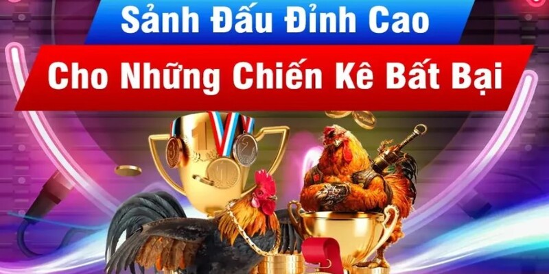 Đa dạng hình thức chơi hấp dẫn & đặc sắc